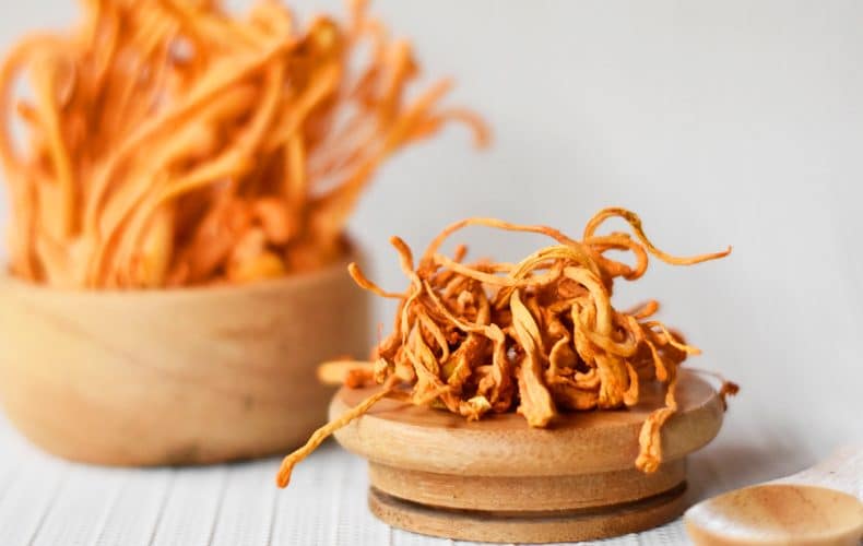 Cordyceps - čo to vlastne je a aké má účinky?