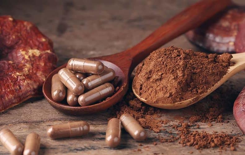 Čaga, Cordyceps a Reishi – čo majú tieto zvláštne slová spoločné?
