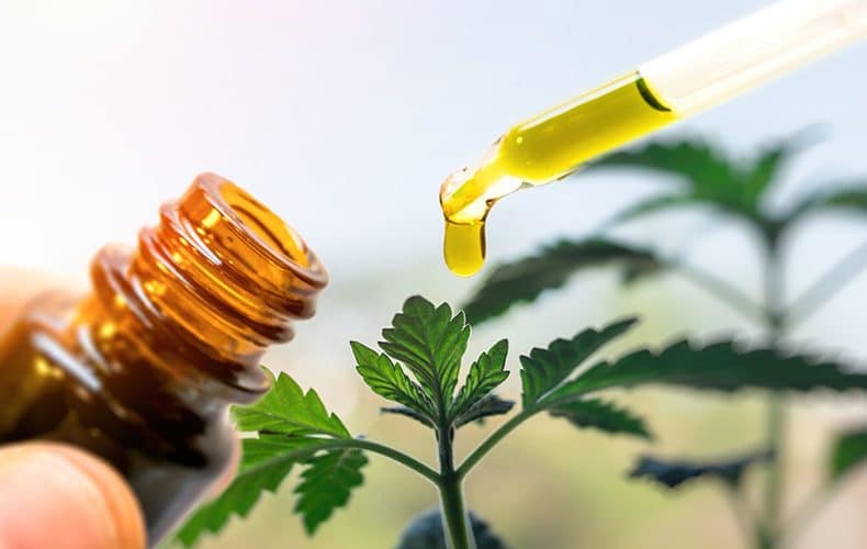 blog mct olej vs cbd olej