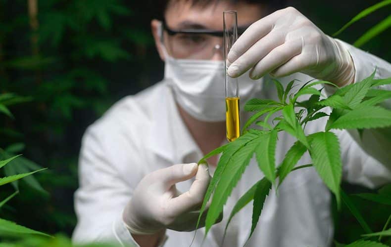 Čo je to full spectrum CBD olej?