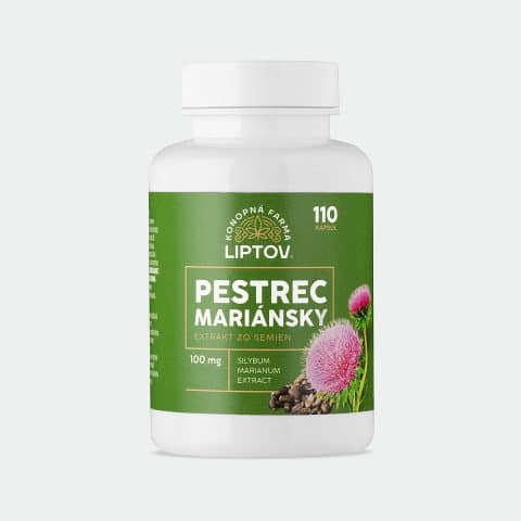 Ostropestřec Mariánský