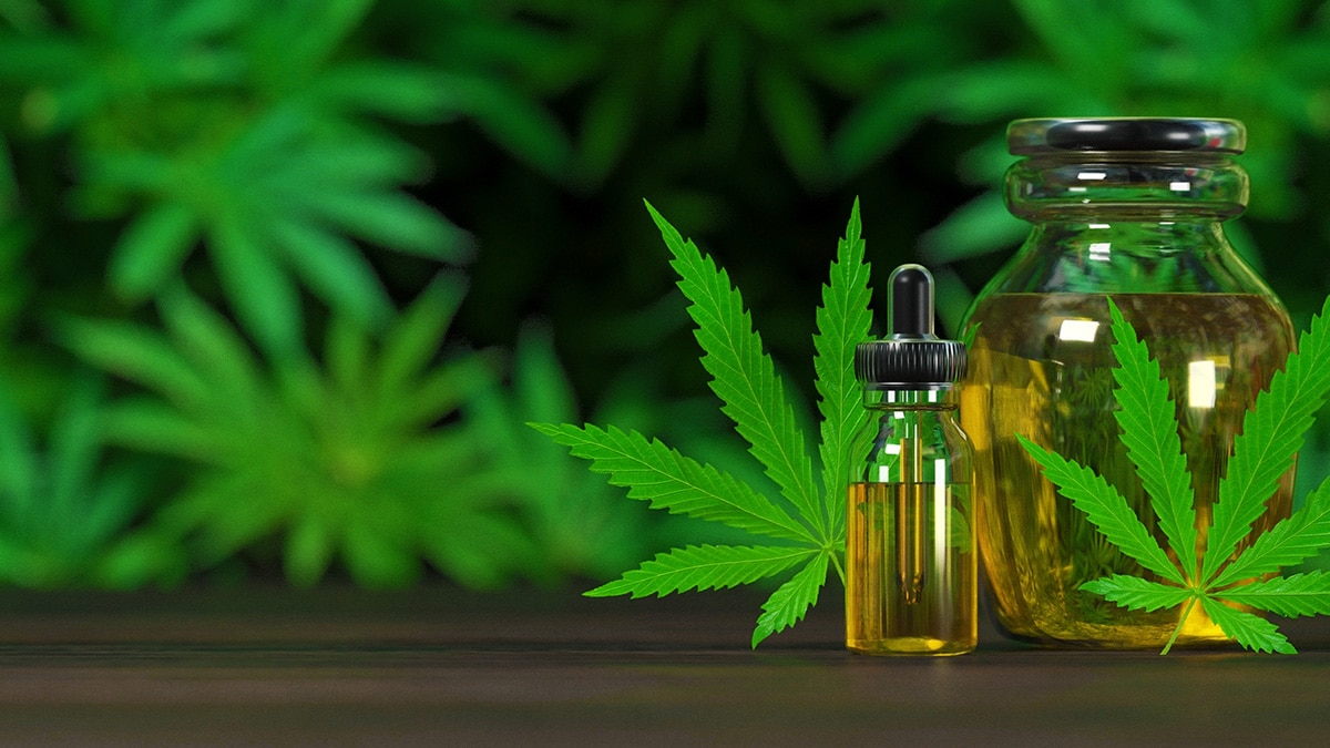 Konopný olej a CBD olej